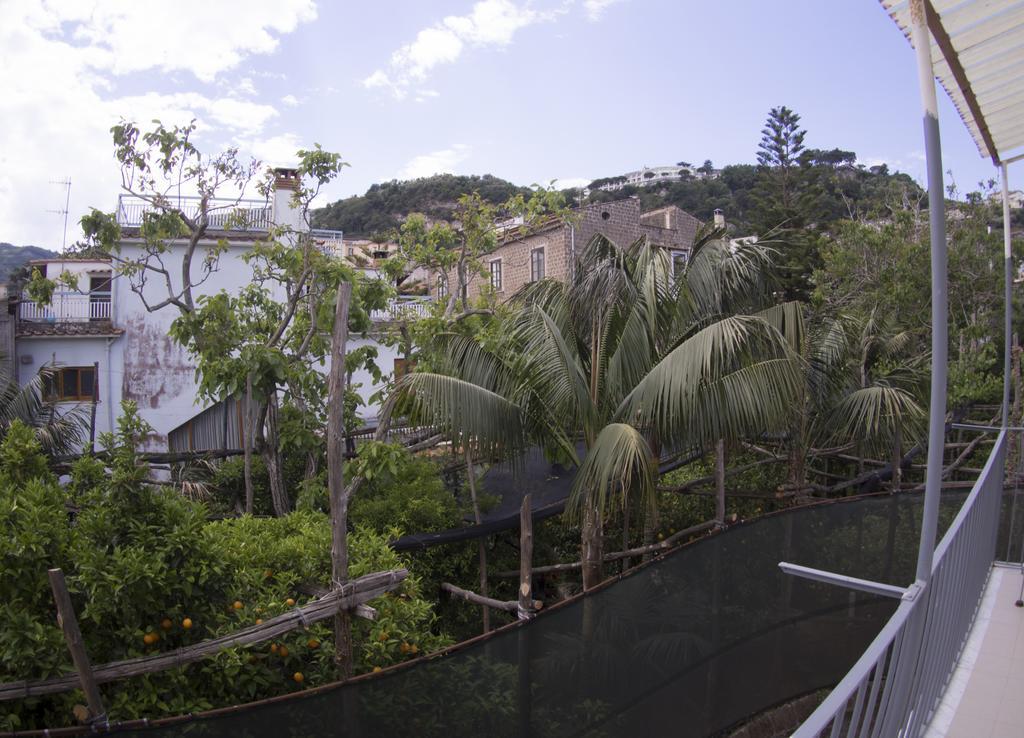 Guest house Syreness Suites